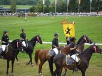 M-C_2011 Standarte SH