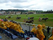 M-C_2011 Römer Streitwagen